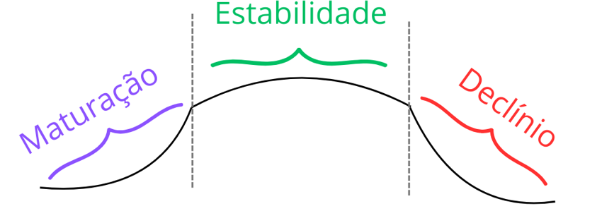 Maturação, estabilidade e declínio